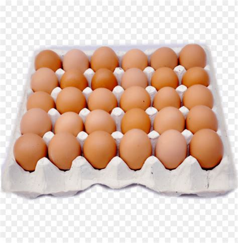 pngegg gratis.